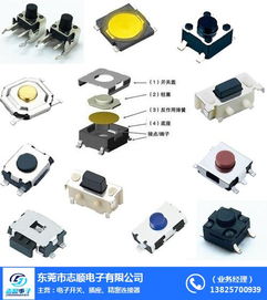 东莞市志顺电子 专业供应硅胶轻触开关，连接珠海等地的可靠批发合作伙伴